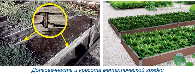 Преимущества грядки Огородная