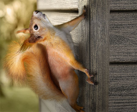 сайдинг ю пласт